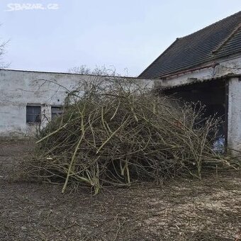Dřevo, klestí do štěpkovače, za odvoz