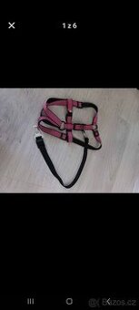 Postroj s úvazem do auta - velký pes