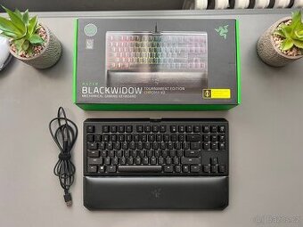 Mechanická klávesnice Razer BlackWidow Chroma TE V2