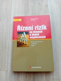 Řízení rizik ve firmách a jiných organizacích