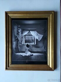JAN SAUDEK : " Zuzančino noční okno " / 1980 /