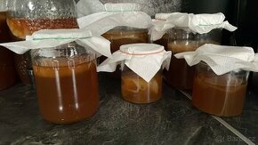 Nabízím Kombuchu + startér - 1