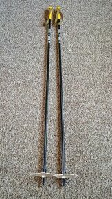 Hole/Hůlky běžecké Exel 130cm
