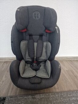 Autosedacka
