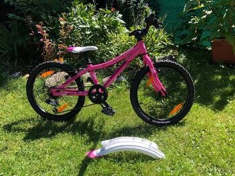 Kellys Lumi 30 20"