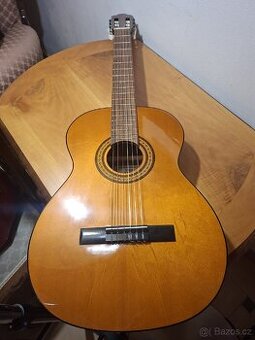 Kytara Pro Arte CG-150