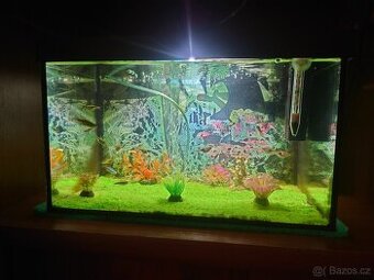 Akvarium 25 litru