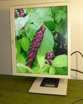 LCD monitor FUJITSU 19 palců, 5:4, DVI, bílý