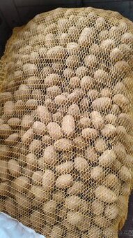 Sadbové brambory Adéla 25 kg