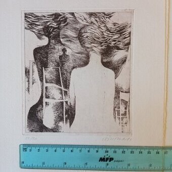 Grafika Zena Lyra Pragensis