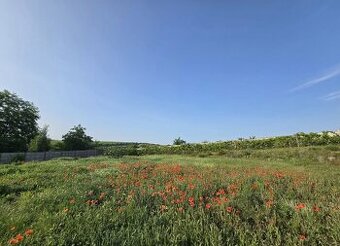 Prodám velký stavební pozemek 2494m2, Zaječí