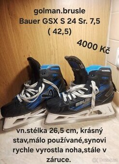 Golmanske brusle Bauer GSX S24 Sr. 7,5 (42,5)