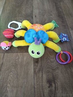 Lamaze pavouk