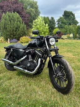 Harley Davidson Sportster iron 883