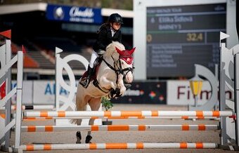 Prodám sportovního pony S