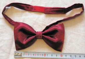 2 x motýlek,4 x lambáda,1 x podprsenka kus 50,- Kč