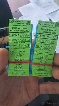 Prodám vyzimované včelstva, oddělky, včely