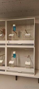 Prodám bednové klece