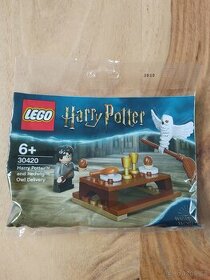 LEGO Harry Potter and Hedwig 30420 Owl Delivery
