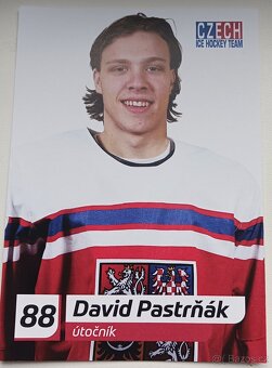 PASTRŇÁK,HANZAL,GUSAS,ŠUSTR,PALÁT - prodám REPRE fotky. - 1