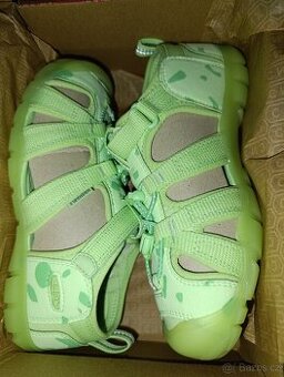 nove keen seacamp
