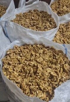 VLAŠSKÉ OŘECHY 2025