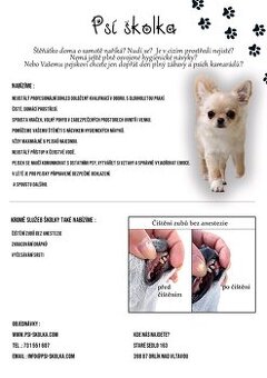 Psí školka, dentální hygiena