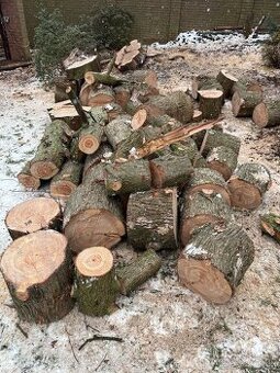 Čerstvé špalky Sekvojovce obrovského – exotické dřevo