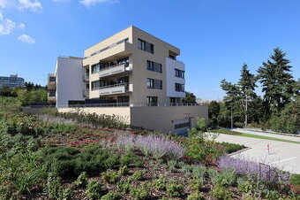 Exkluzivně nabízíme k pronájmu útulný a slunný byt 1+kk, 37,