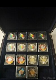 Maple leaf,Panda,Krugerrand+special edition