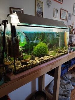 Prodám akvárium i s příslušenstvím