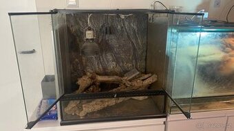 Terárium exo terra - 60x45x60