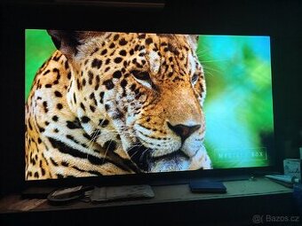 LG OLED55CX