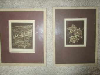 litografie od ak.malířky J.Lázničkové-levně