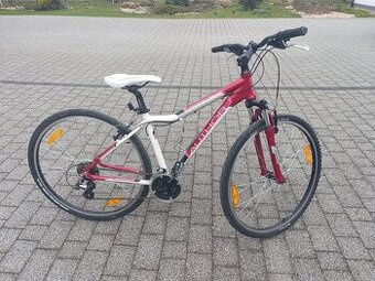 Dívčí kolo Author