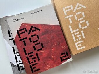 Zámečník - Patologie