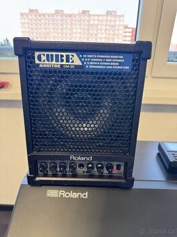 Roland Cube Monitor CM-30