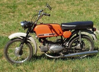 Jawa mustang