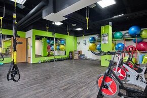 Závěsný systém TRX