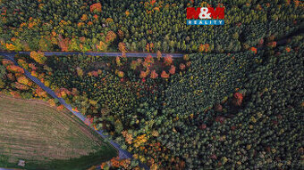 Prodej lesa v Luži, Luže - 1