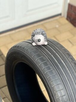 2x 1ks 205/55 R16 letní Dunlop, Continental