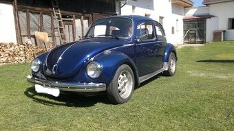 VW brouk 1303