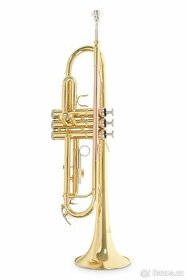 Bb-trumpeta Roy Benson TR-101