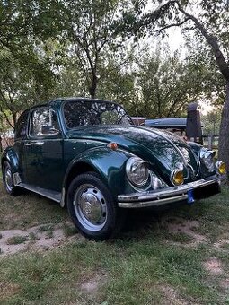 VW brouk
