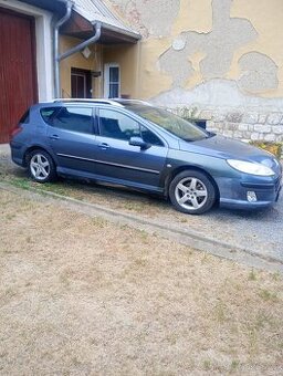 Peugeot 407sw