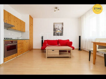 Pronájem 1+Kk, ul. Horní, Ostrava - Bělský Les, 133905