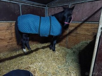Koupím stájovou deku 130