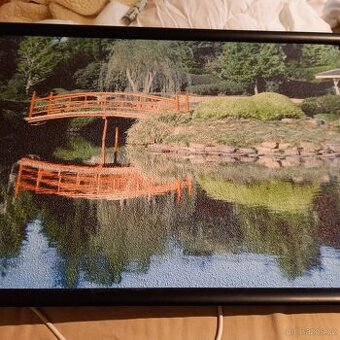 Prodám infračervený topný obraz