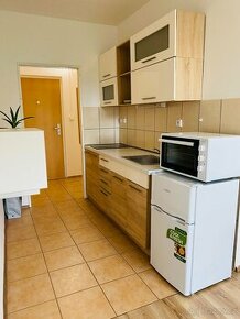 Pronájem bytu 1+kk 31 m² v Třebíči - 1