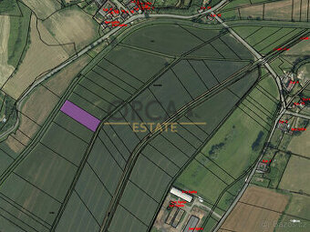 Prodej zemědělskému pozemku o výměře 4545 m2 v k.ú. Městečko